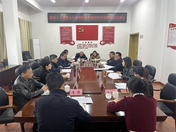 4月7日，縣人大常委會(huì)主任梅代軍帶隊(duì)專題調(diào)研徽投集團(tuán)經(jīng)濟(jì)稅源情況，集團(tuán)洪董、葉總、方總參加調(diào)研座談。.jpg