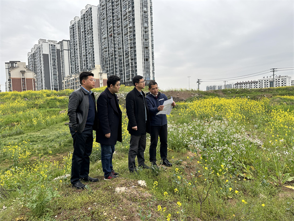 3月29日，張總陪同汪盛縣長調度揚之學校征地.jpg