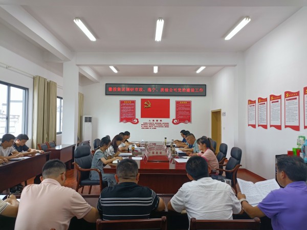 洪董帶隊(duì)調(diào)研市政公司、逸寧公司和質(zhì)檢公司黨的建設(shè)工作.jpg